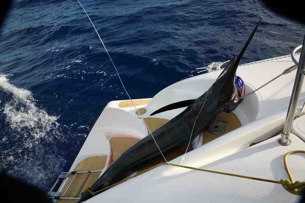 ホテル Tahiti Sail And Dive バイタペ エクステリア 写真